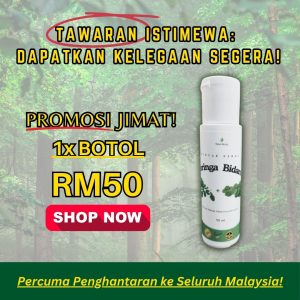 MORINGA BIDARA 1 BOTOL